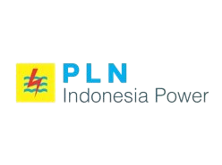 pln11 png