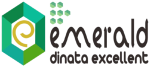cropped logo emerald png 1.png